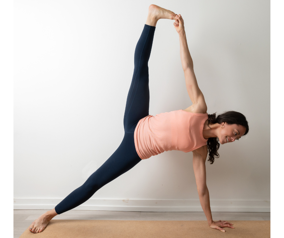 sangha yoga collective 300-hr YTT