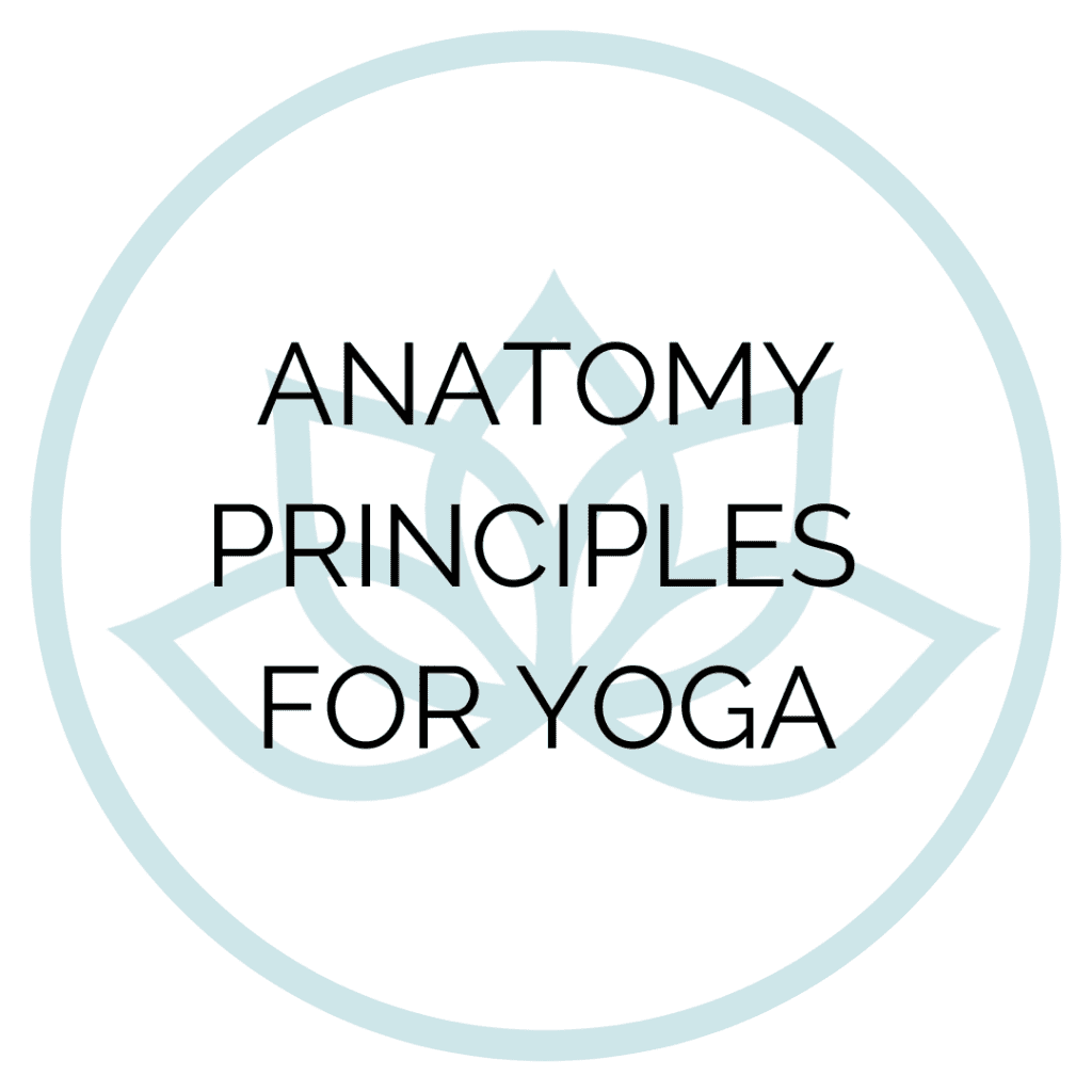 sangha yoga collective